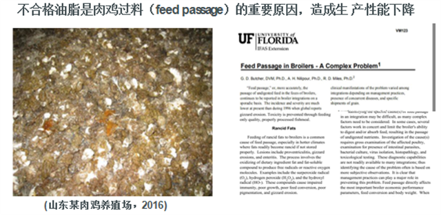 �������Ӽ�