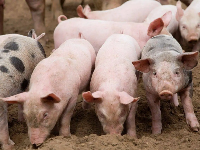 �＾������Ҫע��ʲô���������ƺ���Ҫ��һ��Ҫ�������ĵ�