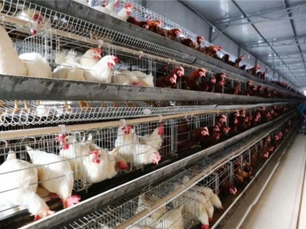 �����������½���ô����