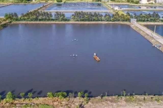 ��Ϻ����ǰ��׼������