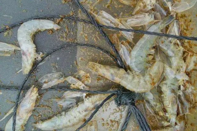 ��Ϻ͵��Ԥ��