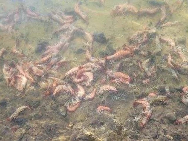 ��Ϻ͵��ԭ��