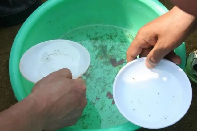 ��Ϻ���ڲ����ص�