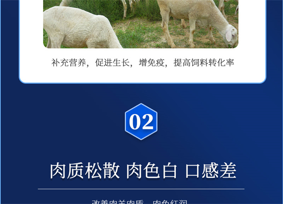 fun88������ҳ�������������Ӽ��������Ʒ����