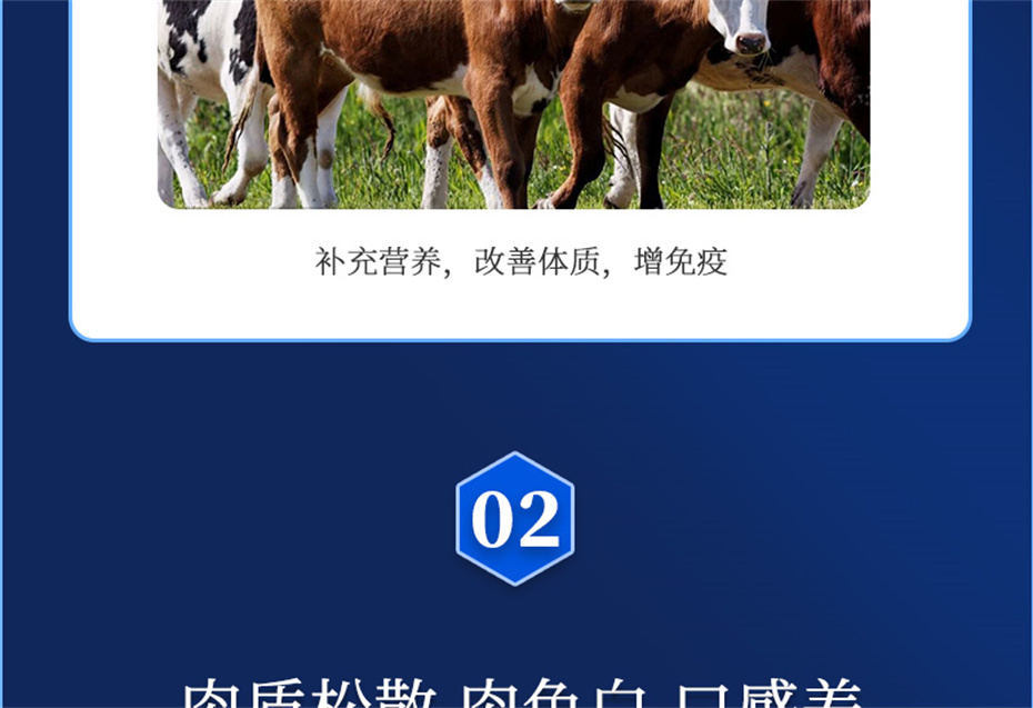 fun88������ҳ����ţ�������Ӽ���ţ����Ʒ����