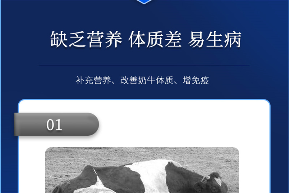 fun88������ҳ����ţ�������Ӽ���ţ����Ʒ����