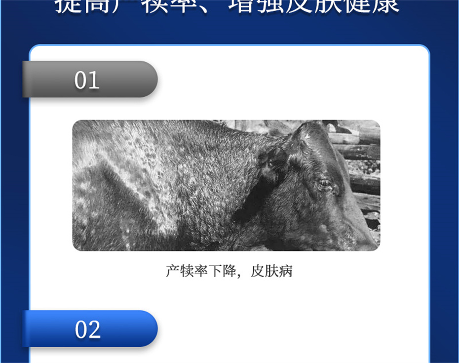 fun88������ҳ����ţ���������Ӽ�����Ѫţ���Ʒ����