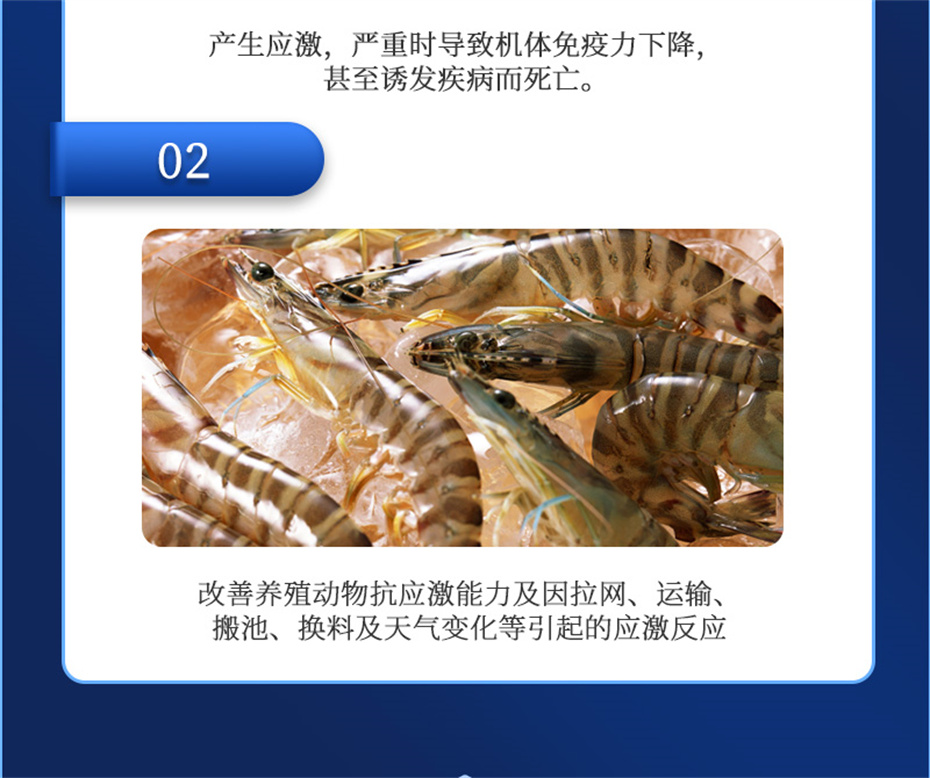 fun88������ҳ����ˮ���������Ӽ�����1�Ų�Ʒ����