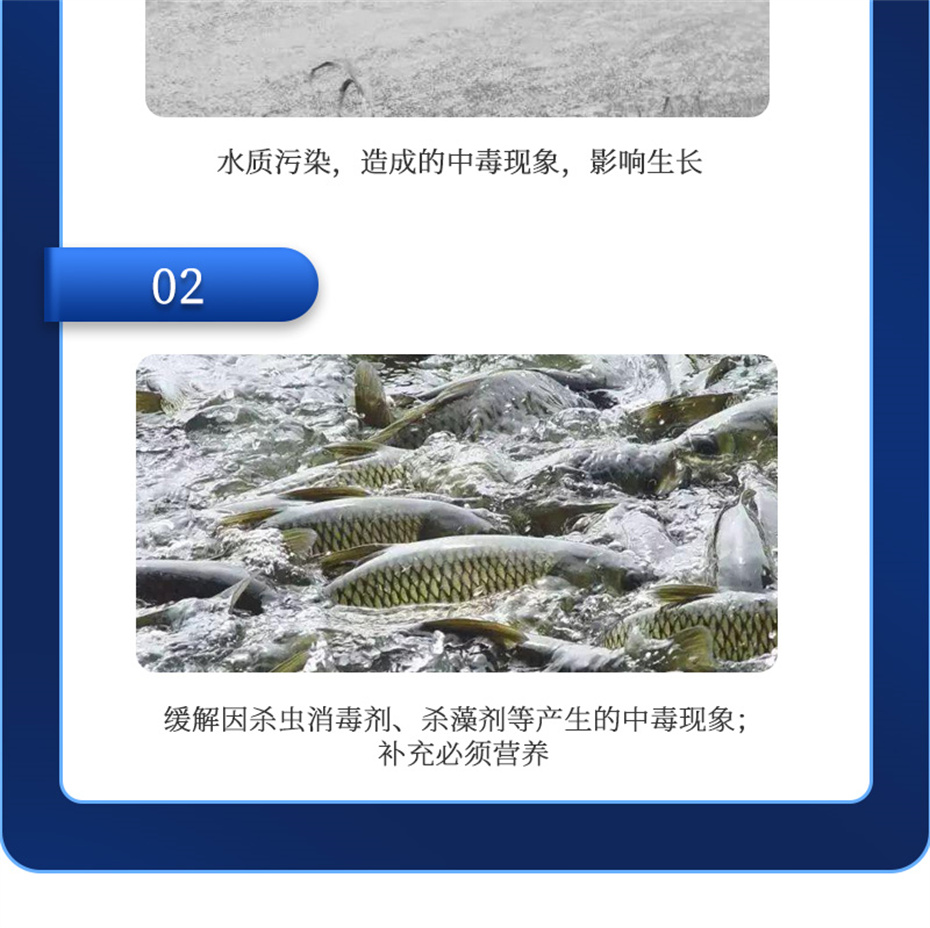 fun88������ҳ����ˮ���������Ӽ�����1�Ų�Ʒ����