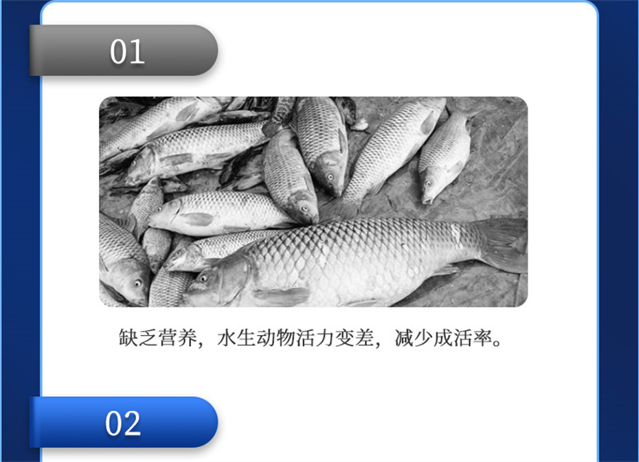 fun88������ҳ����ˮ���������Ӽ�ά��1�Ų�Ʒ����