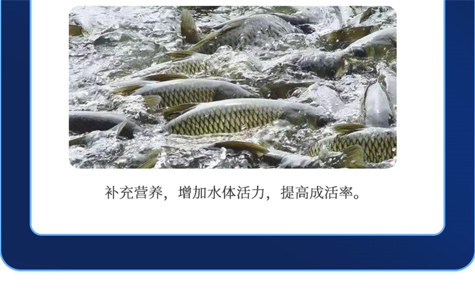 fun88������ҳ����ˮ���������Ӽ�ά��1�Ų�Ʒ����