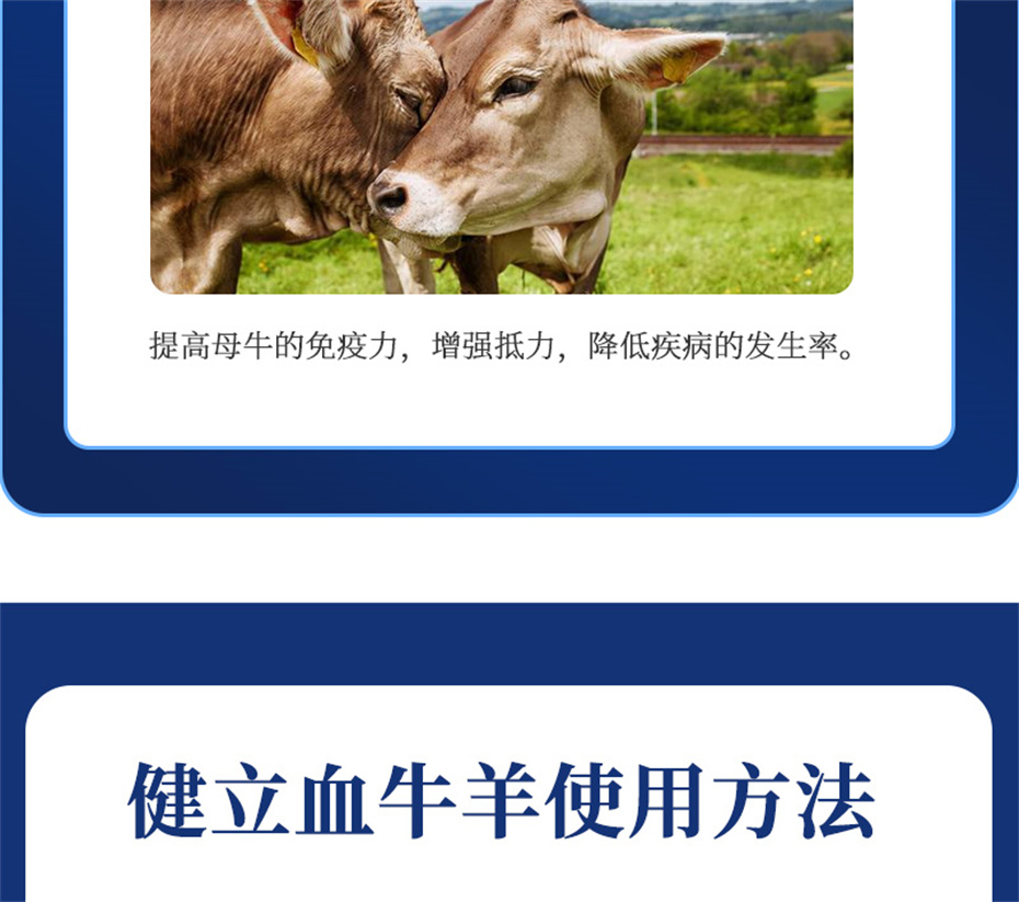 fun88������ҳ����ţ���������Ӽ�����Ѫţ���Ʒ����