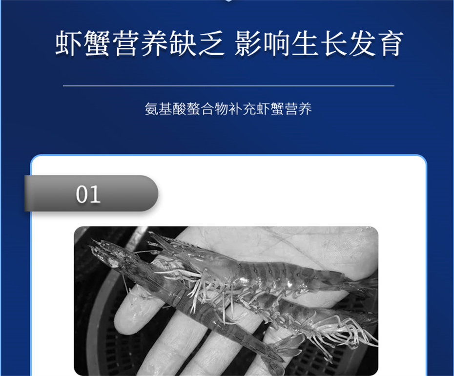 fun88������ҳ����ˮ���������Ӽ�Ϻ������Ʒ����