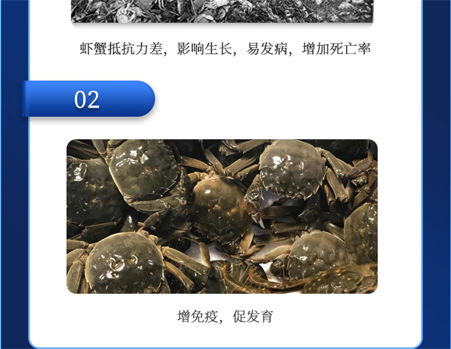 fun88������ҳ����ˮ���������Ӽ�Ϻ������Ʒ����