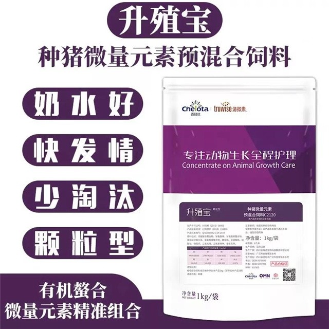 �������Ӽ�