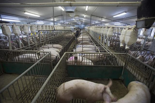 fun88������ҳ��������������