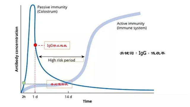 �������Ӽ�