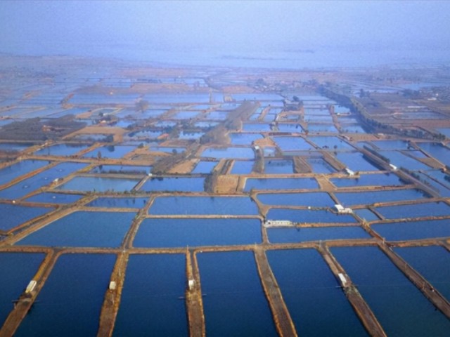 �л�΢��Ԫ�غ�������