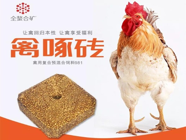 ����ש�������������ܸı�ʲô��