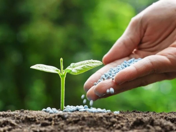 �߲������ʩ����