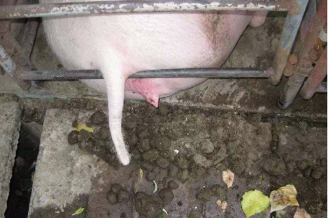 ĸ�����ص�����