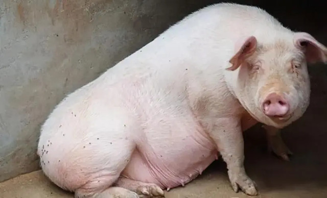 ĸ�����ص�ԭ��