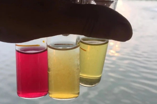 ��Ϻ������ʲôԭ��