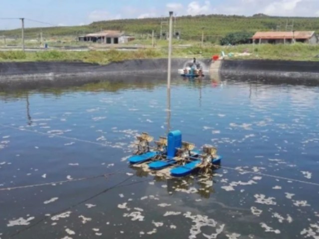 ��Ϻ������ʲôԭ��