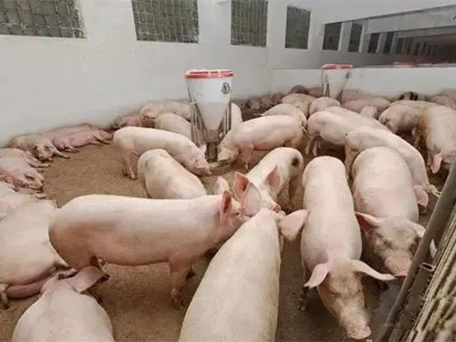 ������ˮϵͳ�Ż�����