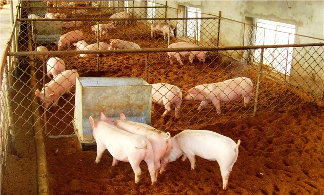 ���������Ӽ�