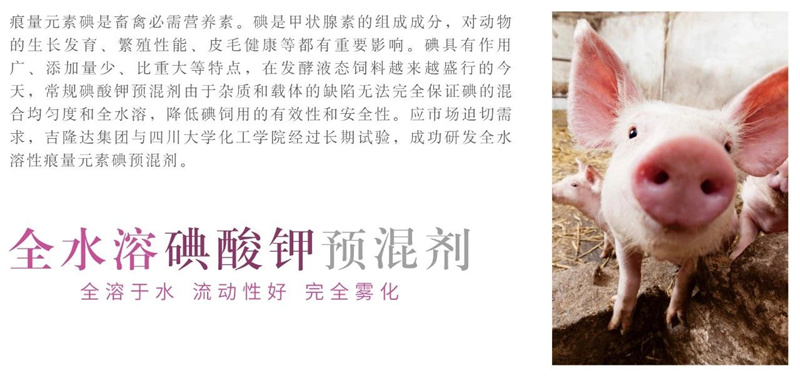 �������Ӽ�