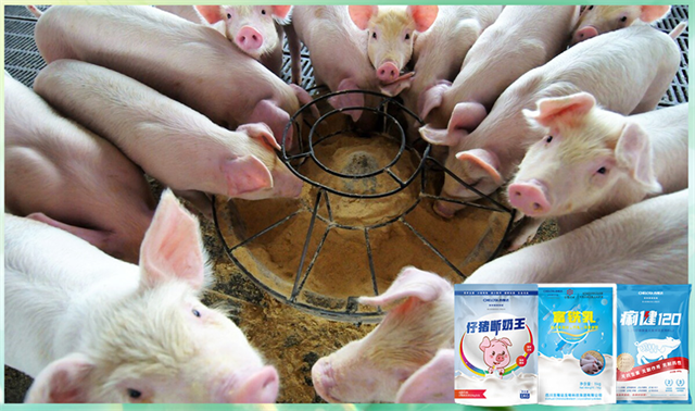 fun88������ҳ�����������Ӽ�