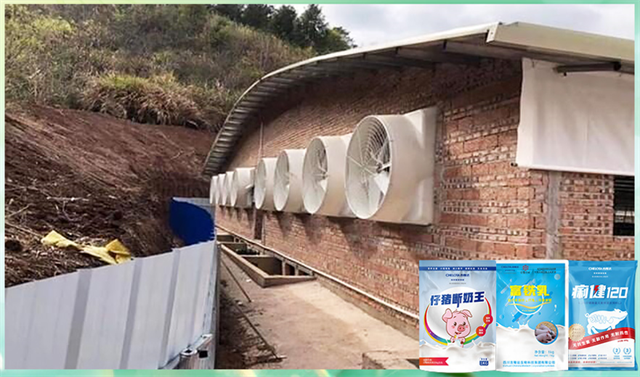 fun88������ҳ�����������Ӽ�