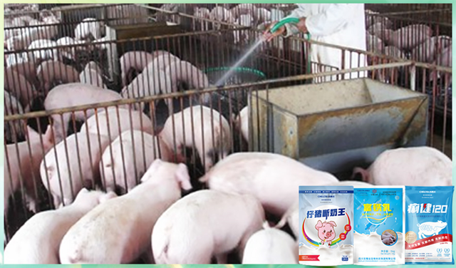 fun88������ҳ�����������Ӽ�