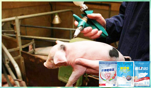 fun88������ҳ�����������Ӽ�