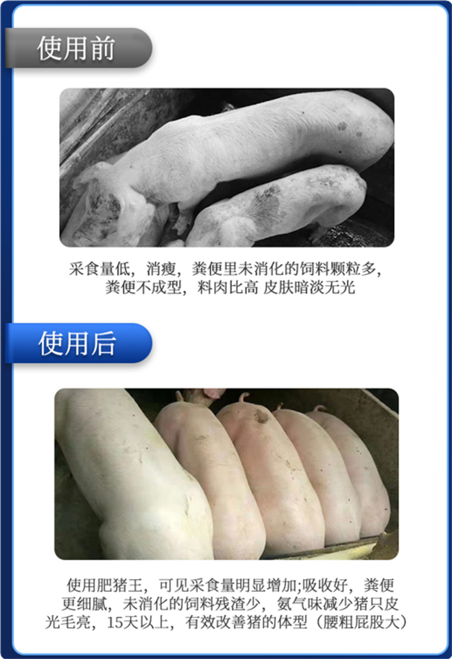 fun88������ҳ-������ʹ��Ч��