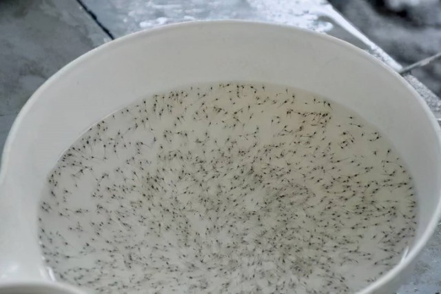 ��Ϻ�������ôͶι