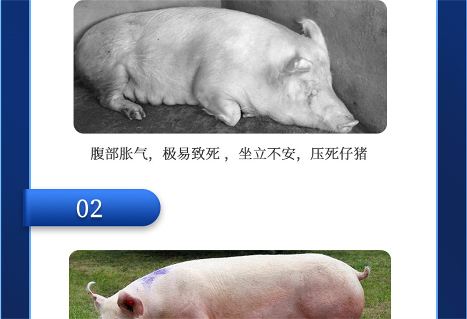 fun88������ҳ�������������Ӽ�ĸ��ͨ��Ʒ����