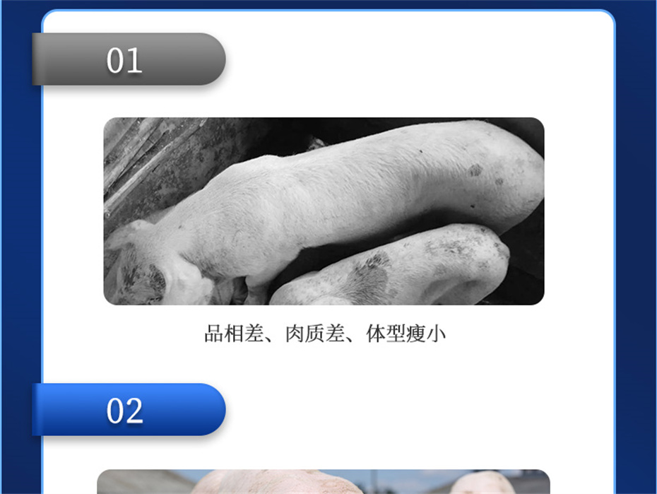 fun88������ҳ�������������Ӽ�ĸ��ͨ��Ʒ����