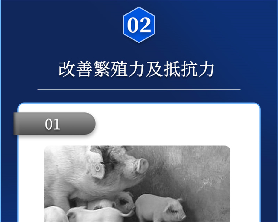 fun88������ҳ�������������Ӽ���ֳ����Ʒ����