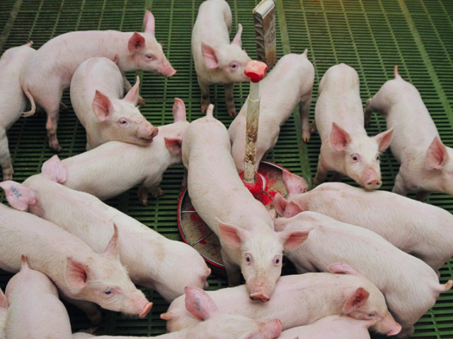 ����������