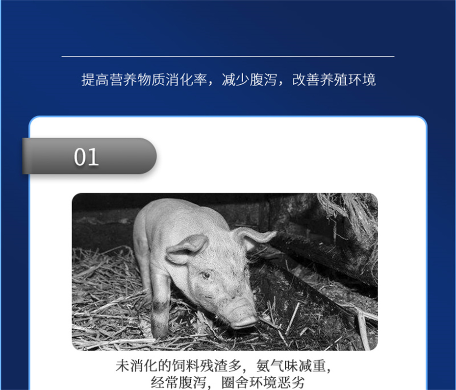 fun88������ҳ�������������Ӽ���������Ʒ����