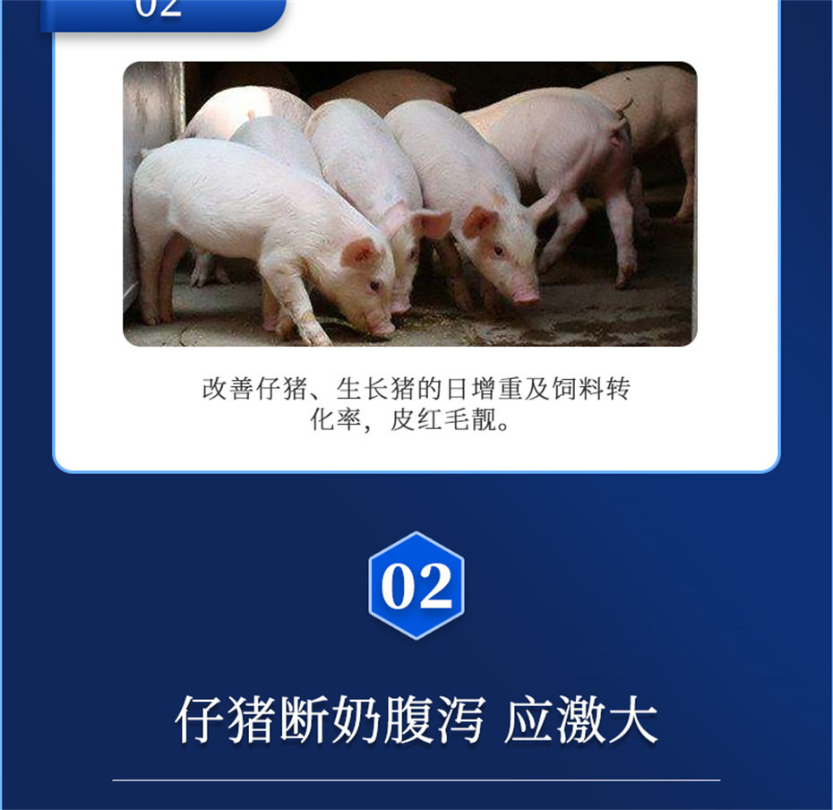 fun88������ҳ�������������Ӽ�������������Ʒ����