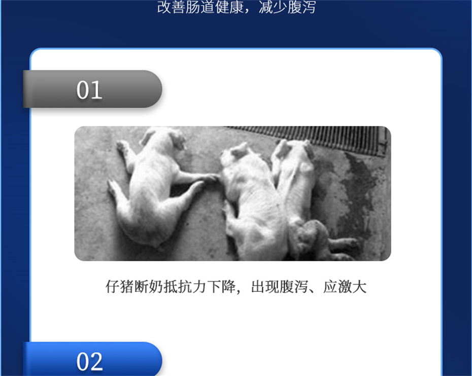 fun88������ҳ�������������Ӽ�������������Ʒ����