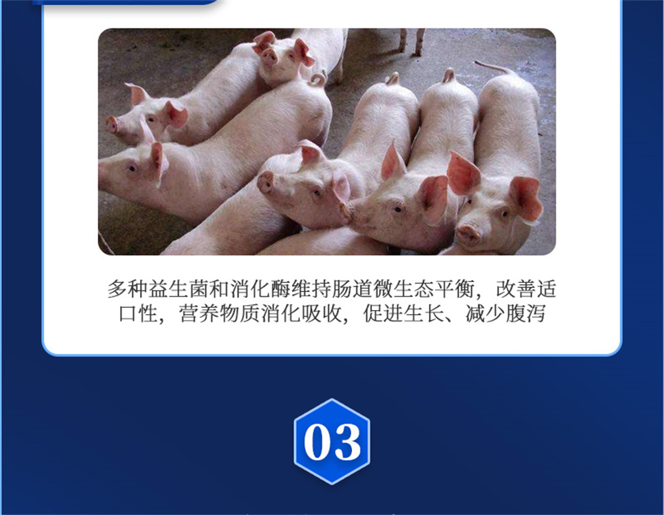 fun88������ҳ�������������Ӽ�������������Ʒ����