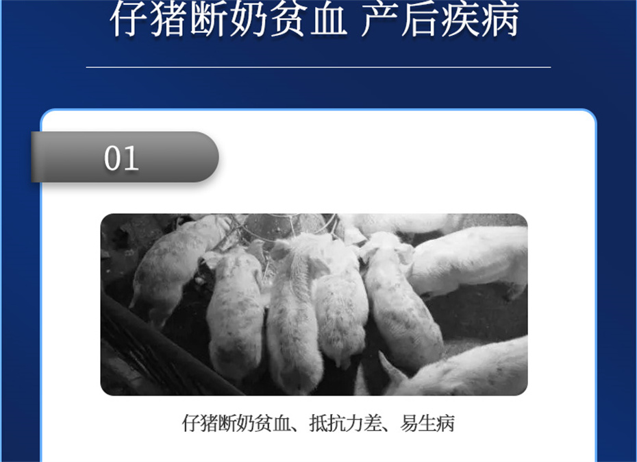 fun88������ҳ�������������Ӽ�������������Ʒ����