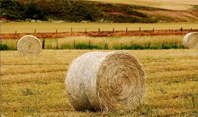 �������Ӽ�