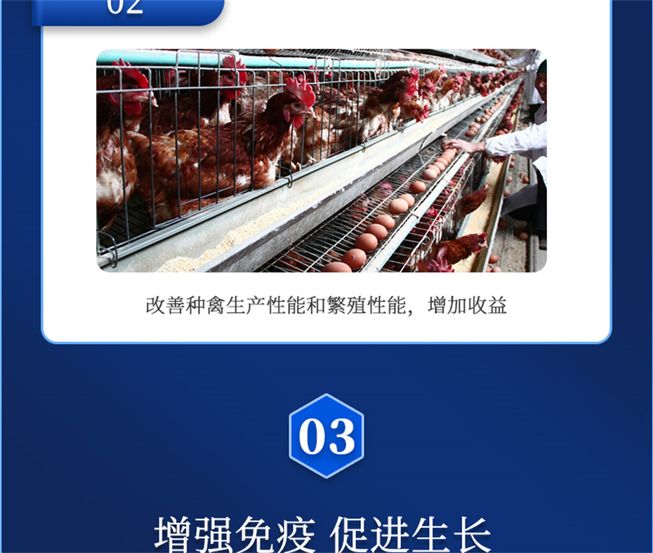 fun88������ҳ�������������Ӽ�����Ѫ�ݲ�Ʒ����