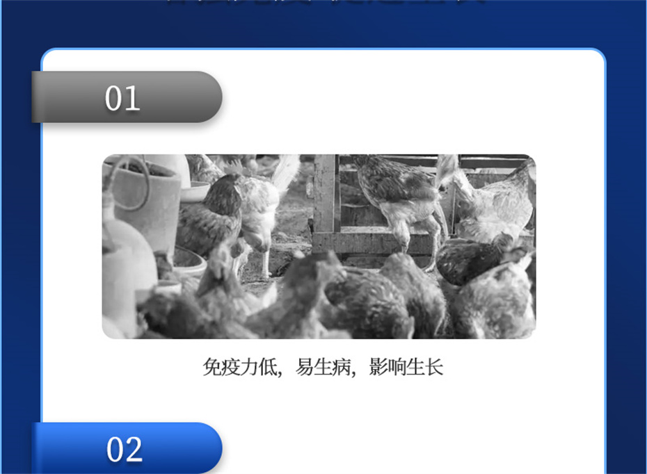 fun88������ҳ�������������Ӽ�����Ѫ�ݲ�Ʒ����