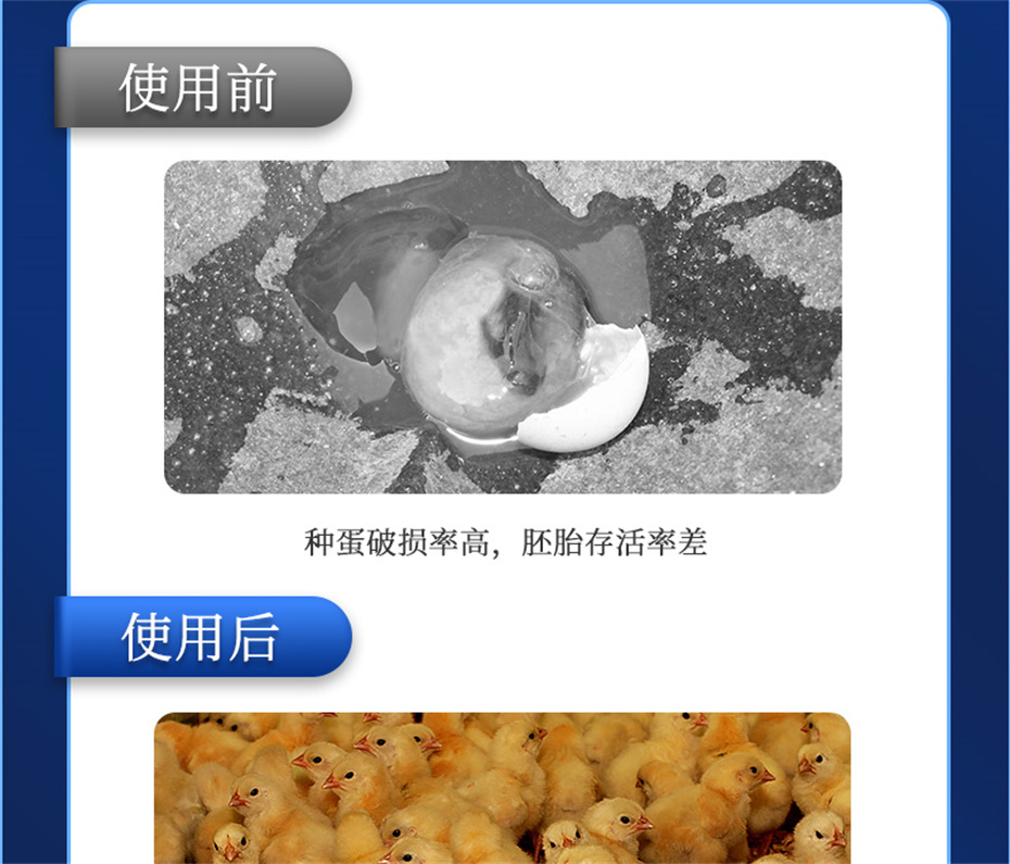 fun88������ҳ�������������Ӽ���������Ʒ����